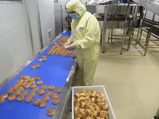 烘培十萬級凈化車間 烘培十萬級凈化車間